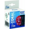 Fauna Marin Coral Mount 4 cm Fauna Marin Coral Mount 4 cm