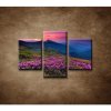 Západ slnka 2 - 3dielny 90x60cm Západ slnka 2 - 3dielny 90x60cm