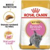 ROYAL CANIN British Shorthair Kitten 400g granule pre britské krátkosrsté mačiatka ROYAL CANIN British Shorthair Kitten 400g granule pre britské krátkosrsté mačiatka