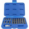 Condor 100-00289 bity 10 mm, Inbus 4 - 12 mm, sada 15 dielov Condor 100-00289 bity 10 mm, Inbus 4 - 12 mm, sada 15 dielov