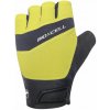 Chiba BioXCell Pro SF fluo