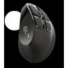 TRUST VOXX ERGONOMIC RECHARGEABLE MOUSE 23731 TRUST VOXX ERGONOMIC RECHARGEABLE MOUSE 23731