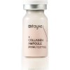 Stayve kolagénová ampulka - kolagénové sérum na revitalizáciu a spevnenie pokožky Množství: 10 ks Stayve kolagénová ampulka - kolagénové sérum na revitalizáciu a spevnenie pokožky Množství: 10 ks
