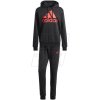 adidas Big Logo Terry Track Suit M IP5553 190250