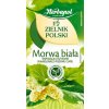 Herbapol Bylinný čaj moruša 20 ks