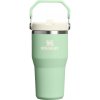 Stanley The IceFlow Flip Straw 2.0 Tumbler 600 ml 20oz Pistachio