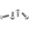 WOLF TOOTH skrutky na Titanium Low Profile 4