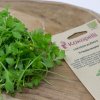 Kokopelli Bio žerucha siata - 2 g Kokopelli Bio žerucha siata - 2 g