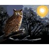 ZUTY Maľovanie podľa čísel - SOVA SEDIACA NA KONÁRI V NOCI (D. RUSTY RUST) Rámovanie: bez rámu a bez vypnutia plátna, Rozmer: 80x100 cm ZUTY Maľovanie podľa čísel - SOVA SEDIACA NA KONÁRI V NOCI (D. RUSTY RUST) Rámovanie: bez rámu a bez vypnutia plátna, Rozmer: 80x100 cm