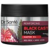 Santé Reinforcing Black Castor Oil Mask - 300 ml Santé Reinforcing Black Castor Oil Mask - 300 ml