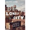 LONELY CITY (Olivia Laing)(Brožovaná) LONELY CITY (Olivia Laing)(Brožovaná)