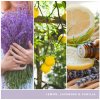 Yankee Candle Lemon Lavender signature 567 g Yankee Candle Lemon Lavender signature 567 g