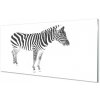 Obraz na akrylátovom skle Maľované zebra 100x50 cm Obraz na akrylátovom skle Maľované zebra 100x50 cm