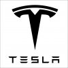 ELIART Nálepka na auto - Tesla logo Farba vinylovej nálepky: Sv. zelená 3044 ELIART Nálepka na auto - Tesla logo Farba vinylovej nálepky: Sv. zelená 3044