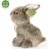 Plyšový zajac 20 cm ECO-FRIENDLY Plyšový zajac 20 cm ECO-FRIENDLY