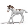 Schleich Schleich Zberateľské žriebä Dipper OLP102681459 Schleich Schleich Zberateľské žriebä Dipper OLP102681459