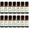 Plant Therapy Set Top 14 jednotlivých esenciálnych olejov 140 ml Plant Therapy Set Top 14 jednotlivých esenciálnych olejov 140 ml