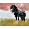 Diamondi Diamantové maľovanie ČIERNY KÔŇ NA LÚKE 40 x 50 cm vypnuté plátno na rám