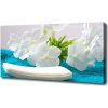 Foto obraz na plátne do obývačky Biele kvety spa 100x50 cm Foto obraz na plátne do obývačky Biele kvety spa 100x50 cm