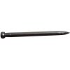 hřebík kolářský 25x1,4mm (1kg) hřebík kolářský 25x1,4mm (1kg)