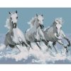 Diamondi Diamantové maľovanie - BIELE KONE Rámovanie: vypnuté plátno na rám, Rozmer: 40x50 cm Diamondi Diamantové maľovanie - BIELE KONE Rámovanie: vypnuté plátno na rám, Rozmer: 40x50 cm