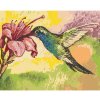 Diamondi Diamantové maľovanie - KOLIBRÍK A RUŽOVÉ KVETY Rámovanie: bez rámu a bez vypnutia plátna, Rozmer: 40x50 cm Diamondi Diamantové maľovanie - KOLIBRÍK A RUŽOVÉ KVETY Rámovanie: bez rámu a bez vypnutia plátna, Rozmer: 40x50 cm