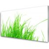 Nástenný panel Tráva 100x50 cm Nástenný panel Tráva 100x50 cm