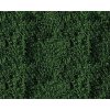 Faller Fóliaž do diorámy tmavozelená na tvorbu stromov 250 x 120 mm Faller Fóliaž do diorámy tmavozelená na tvorbu stromov 250 x 120 mm