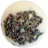 La Bomba - Provence Creamer - Krémová guľa do kúpeľa - Provence - 50g La Bomba - Provence Creamer - Krémová guľa do kúpeľa - Provence - 50g