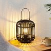 Stolná lampa Lindby Canyana, čierna, ratan, výška 27 cm - 9921067 Stolná lampa Lindby Canyana, čierna, ratan, výška 27 cm - 9921067