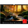 Mystik der Wälder (Wandkalender 2026 DIN A3 quer), CALVENDO Monatskalender Mystik der Wälder (Wandkalender 2026 DIN A3 quer), CALVENDO Monatskalender
