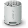 Sony SRS-XB100 strieborná Sony SRS-XB100 strieborná