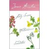 Lady Susan, Watsonovci, Sanditon - Austenová Jane Lady Susan, Watsonovci, Sanditon - Austenová Jane