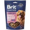 Brit Premium Dog by Nature SM Snacks Beef 180g Brit Premium Dog by Nature SM Snacks Beef 180g