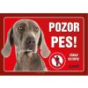 Juko Plastová tabuľa Pozor Pes Weimarský stavač 21 x 14,7 cm Juko Plastová tabuľa Pozor Pes Weimarský stavač 21 x 14,7 cm