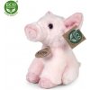 Rappa Plyšové prase 16 cm ECO-FRIENDLY Rappa Plyšové prase 16 cm ECO-FRIENDLY