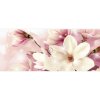 Fototapeta - PA5409 - Magnólia Vliesová fototap. - 250cm x 104cm Fototapeta - PA5409 - Magnólia Vliesová fototap. - 250cm x 104cm
