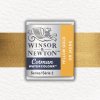 AKVARELOVÁ FARBA - WINSOR & NEWTON - COTMAN - POLPANVIČKA | YELLOW GOLD AKVARELOVÁ FARBA - WINSOR & NEWTON - COTMAN - POLPANVIČKA | YELLOW GOLD