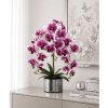 Orchidea v zrkadlovom črepníku Orchidea v zrkadlovom črepníku