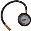 Izis 7304 Tlakomer s hadicou (11bar) ~ Izis 7304 Tlakomer s hadicou (11bar) ~