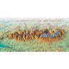 Vysoké Tatry XL 83x160cm panoramatická zapichovacia mapa v ráme (z edície 