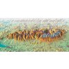 Vysoké Tatry XL 83x160cm panoramatická zapichovacia mapa v ráme (z edície  Vysoké Tatry XL 83x160cm panoramatická zapichovacia mapa v ráme (z edície