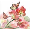 DIMEX fototapeta Orchidea s motýlmi MS-3-0146 - 225 x 250 cm (150g VLIES - LEPIDLO ZADARMO) DIMEX fototapeta Orchidea s motýlmi MS-3-0146 - 225 x 250 cm (150g VLIES - LEPIDLO ZADARMO)