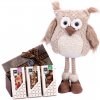 Darčekový set sova s čokoládou Darčekový set sova s čokoládou
