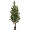 Buxus red day stromček, 130cm (umelý strom) Buxus red day stromček, 130cm (umelý strom)