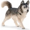 Figúrka Husky Schleich SLH-16835 Figúrka Husky Schleich SLH-16835