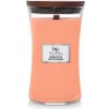 WoodWick Manuka Nectar 609,5 g WoodWick Manuka Nectar 609,5 g