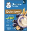 GERBER Nemliečna kaša na dobrú noc slivka 200 g 6m+ GERBER Nemliečna kaša na dobrú noc slivka 200 g 6m+