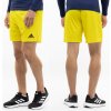 adidas pánske športové šortky ENTRADA 22 adidas pánske športové šortky ENTRADA 22