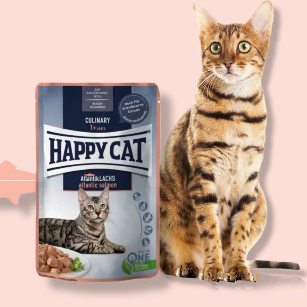 Happy Cat Pouches Meat in Sauce Culinary Atlantik Lachs 85 g